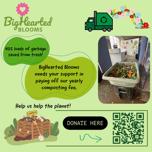 social media campaign (instagram)