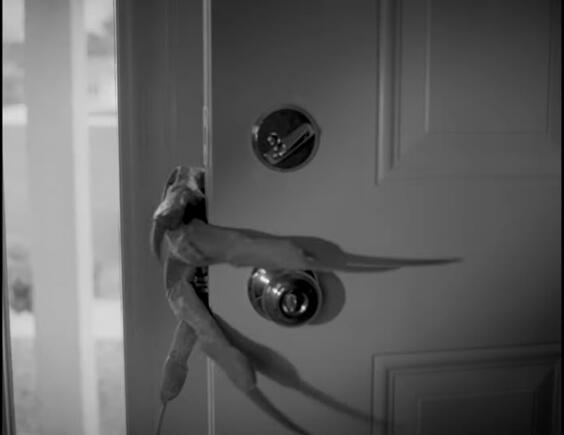 groggy froggy short film (DP)